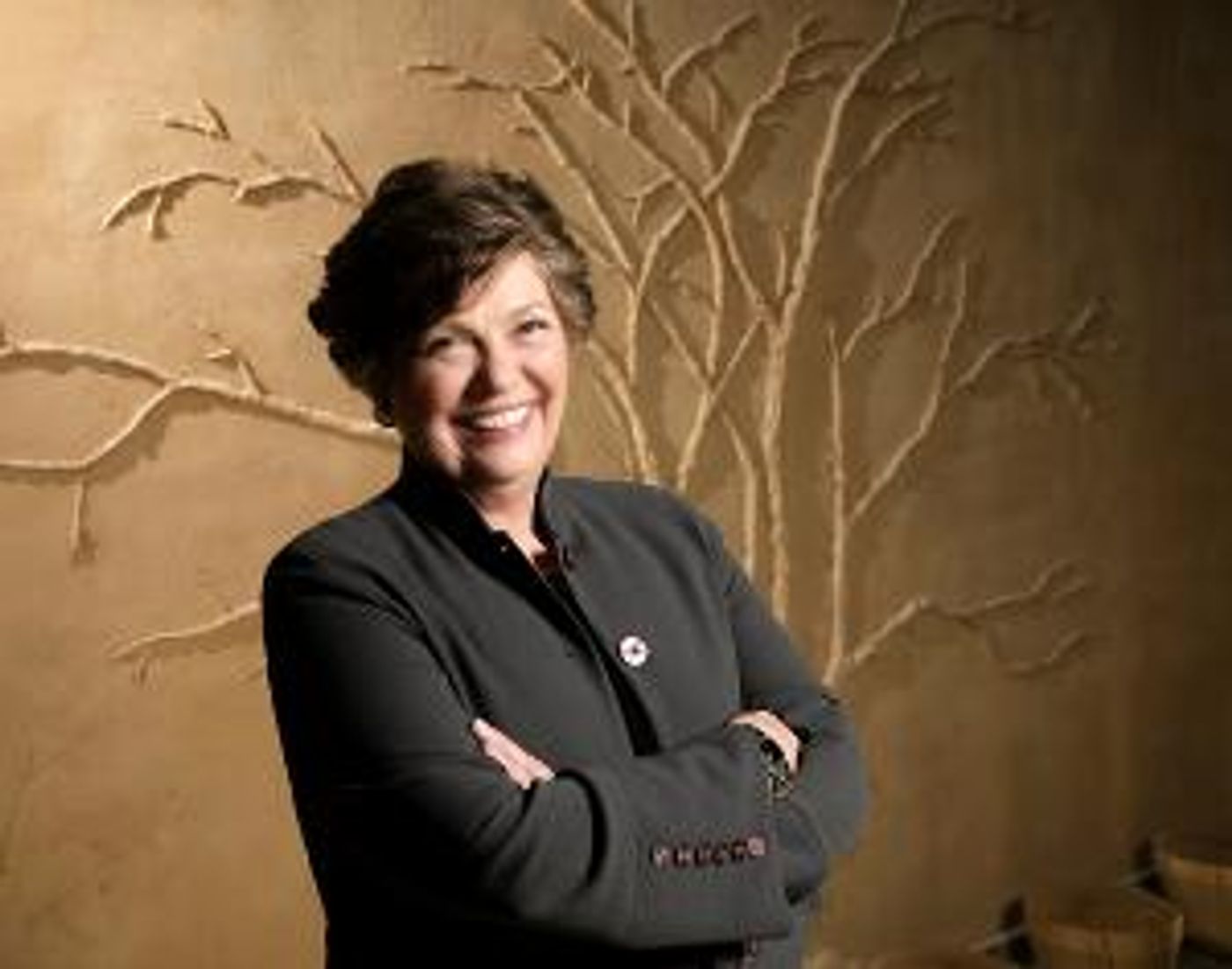 New College Foundation Welcomes Three New Board Members  Image