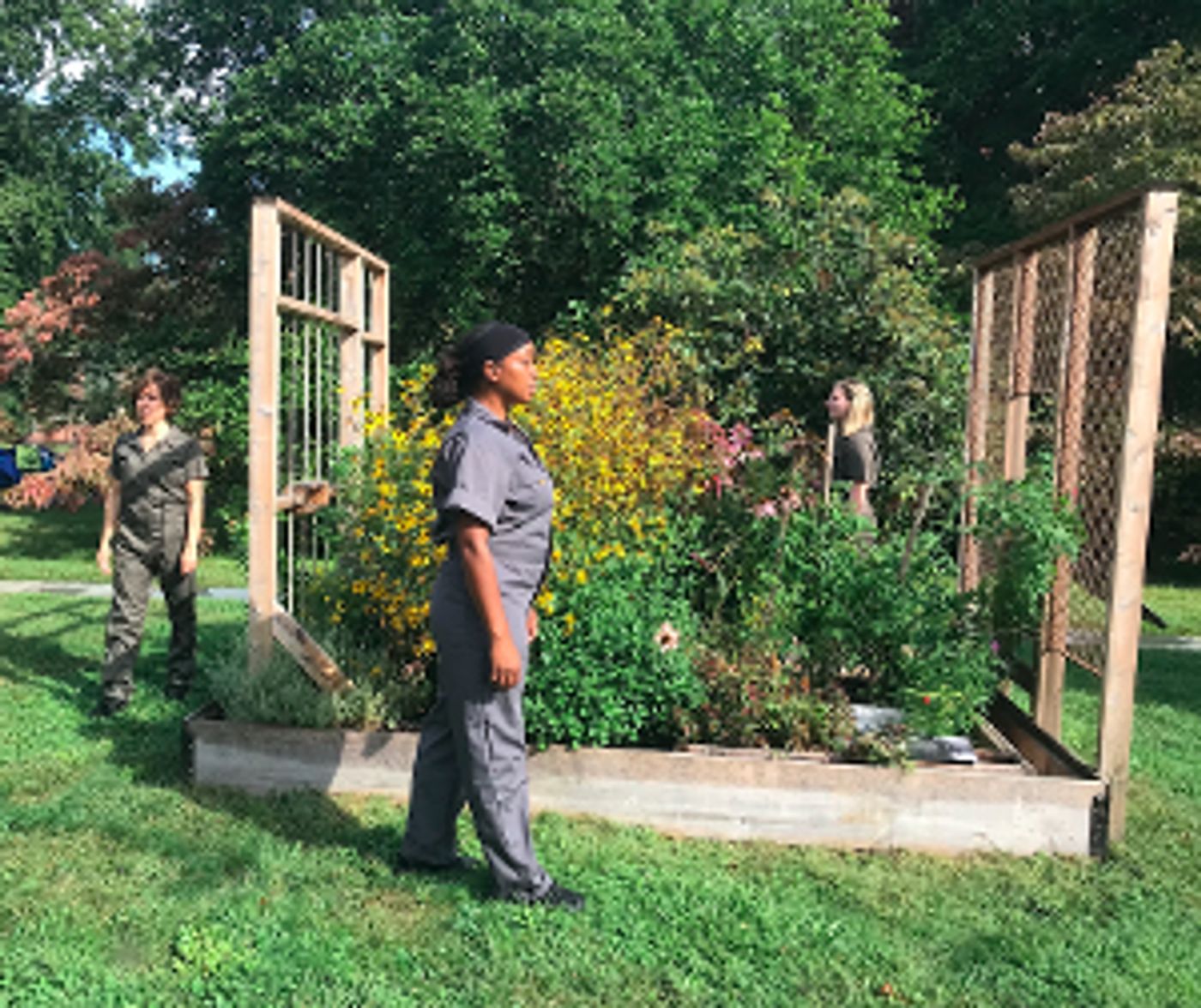 Judy Dworin Performance Project To Present EMERGENCE At Harriet Beecher Stowe Center  Image