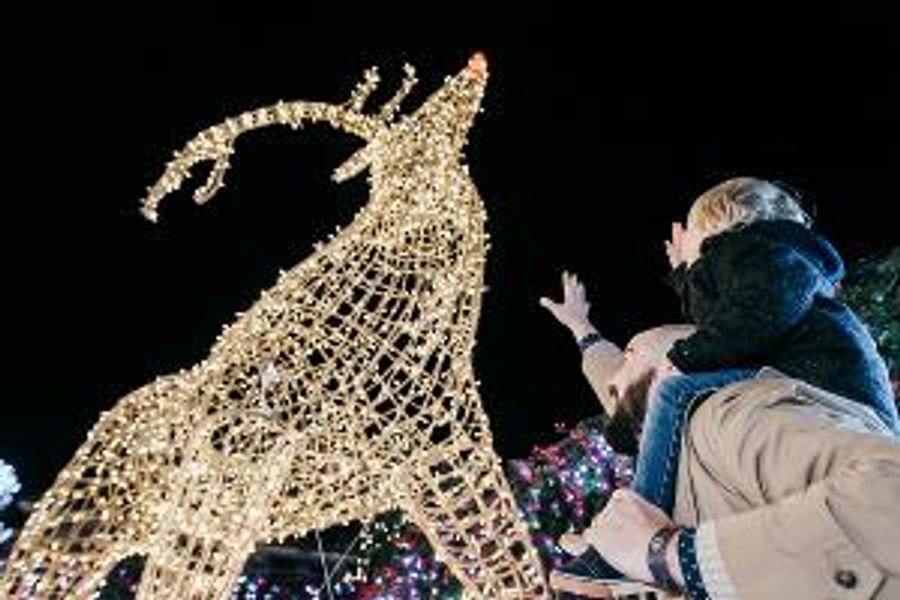 Tickets For ENCHANT CHRISTMAS On Sale This Thursday! Image