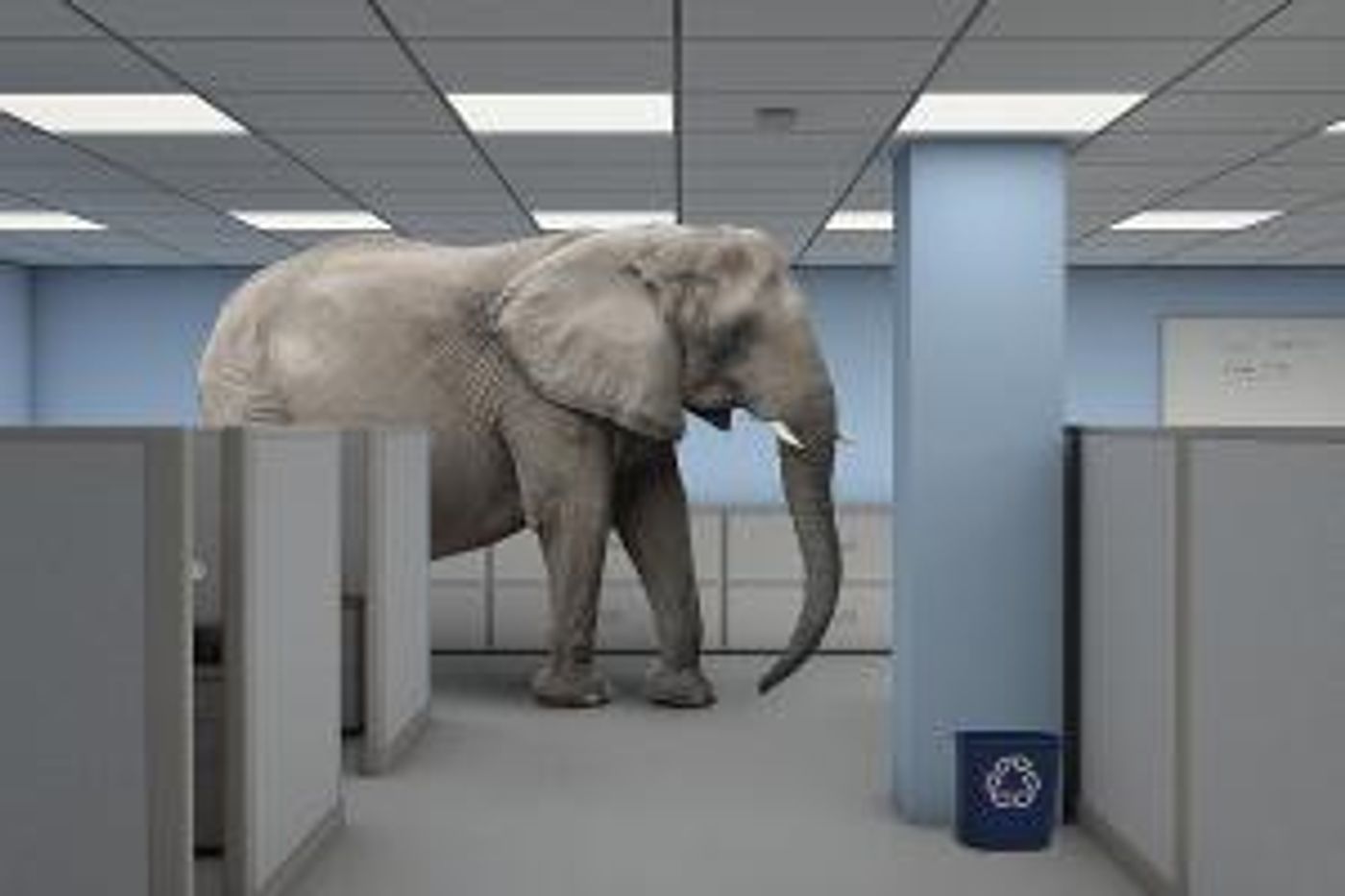 BOLD Theatre Presents WHAT THEY FORGOT TO TELL US (AND OTHER STORIES)  Image