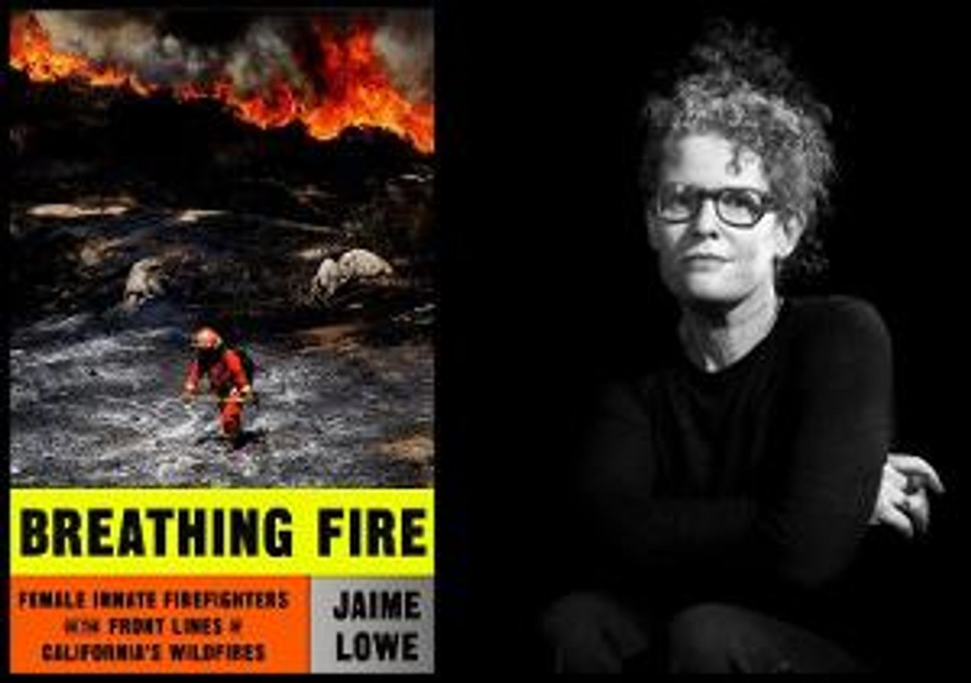 L.A. Omnibus Returns With Author Jamie Lowe  Image