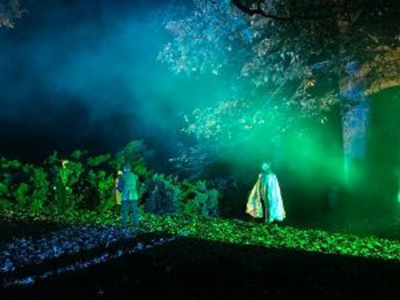 Spooky Shakespeare Is Back! Elm Shakespeare Company Presents A Unique Halloween Experience  Image