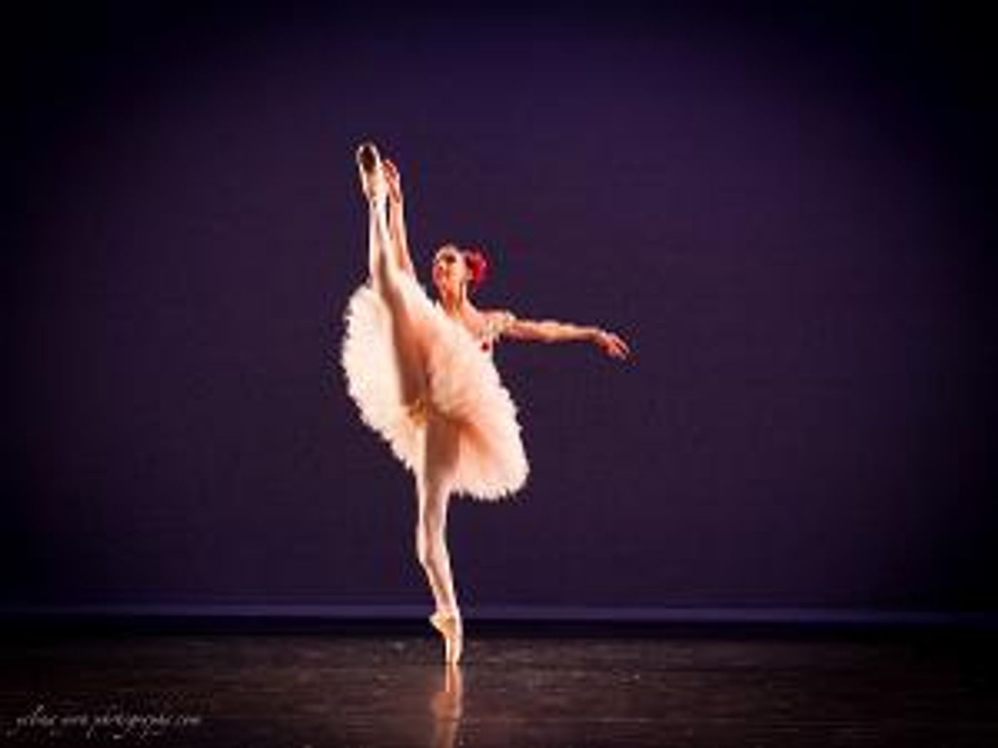Kozlova's NUTCRACKER SUITE Comes to Symphony Space in December  Image