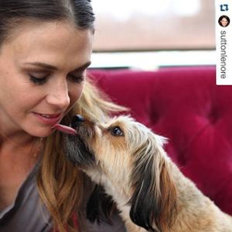 Sutton Foster Will Support Two Initiatives to Help Shelter Animals in Need Image
