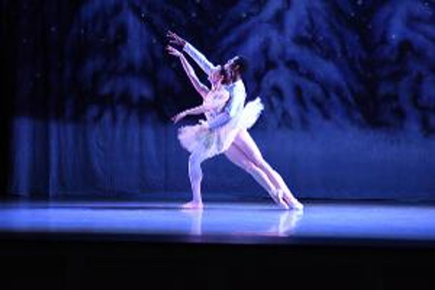 Celebrate The Holidays With West Hartford's Arts and Culture Organizations  Image