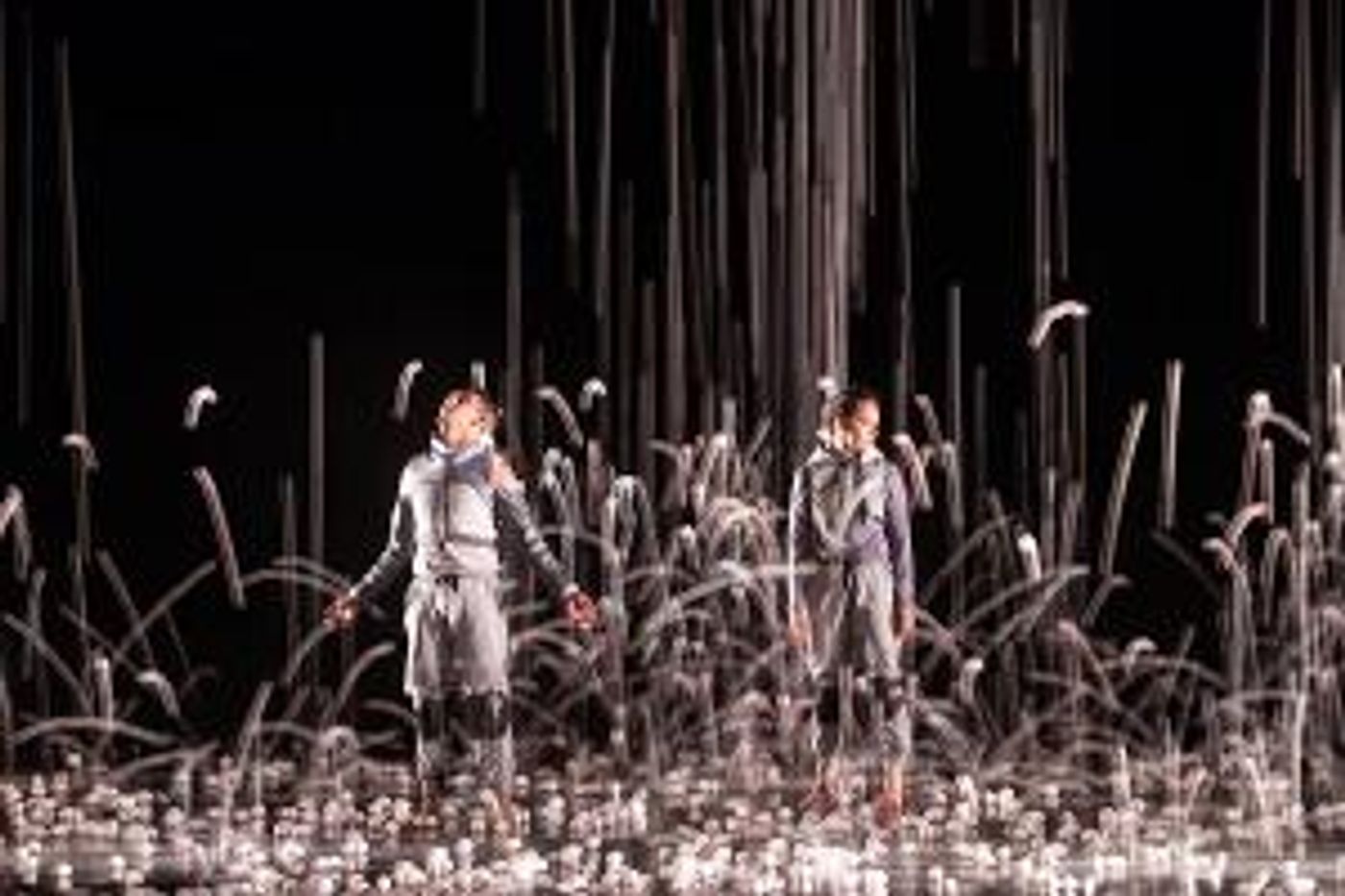 La Final Del Premio Nacional De Danza Guillermo Arriaga 2021 Se Realizará En El Palacio De Bellas Artes  Image