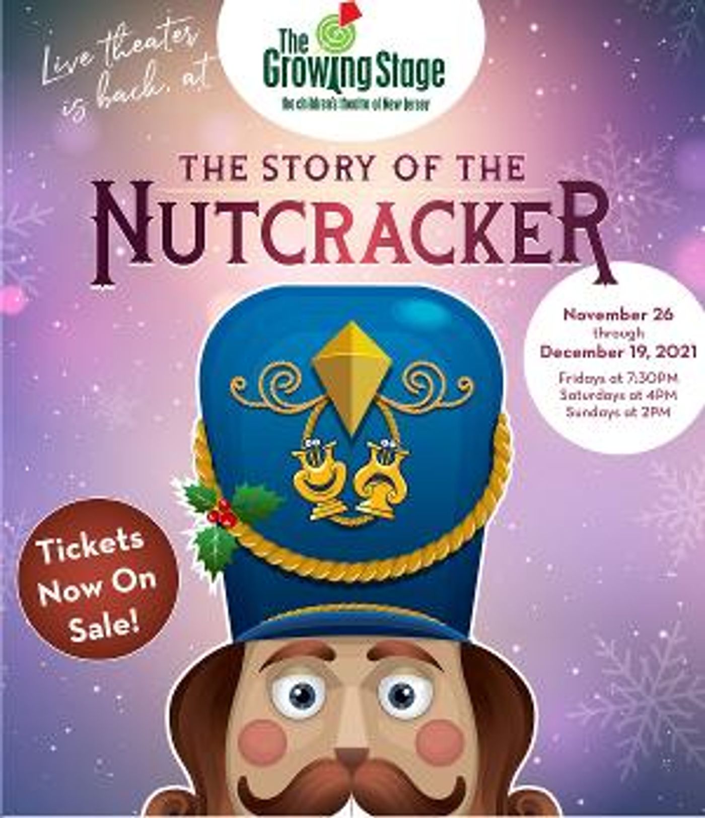 The Children's Theatre Of NJ Re-Opens Doors With A Holiday Classic!  Image