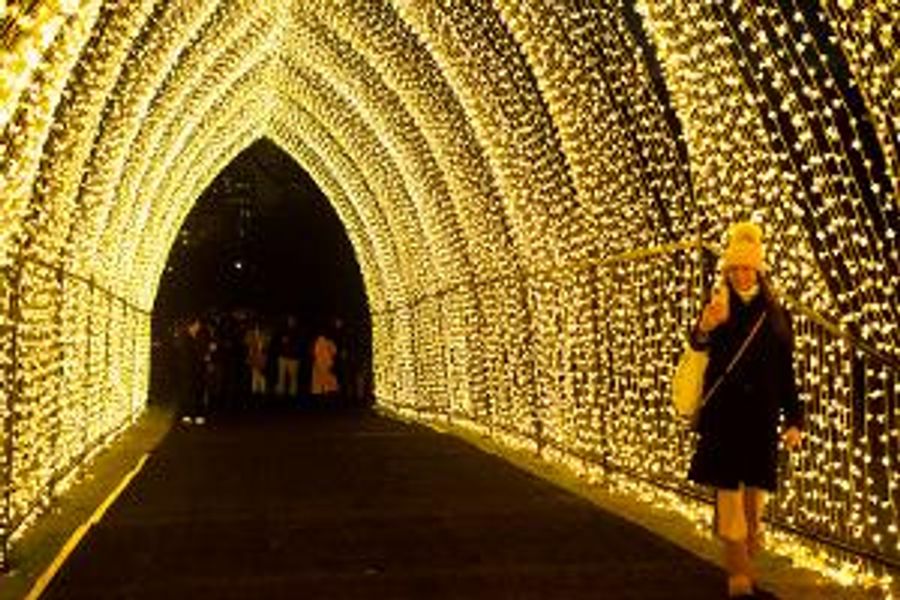 LIGHTSCAPE At Brooklyn Botanic Garden Open For The Holidays Image