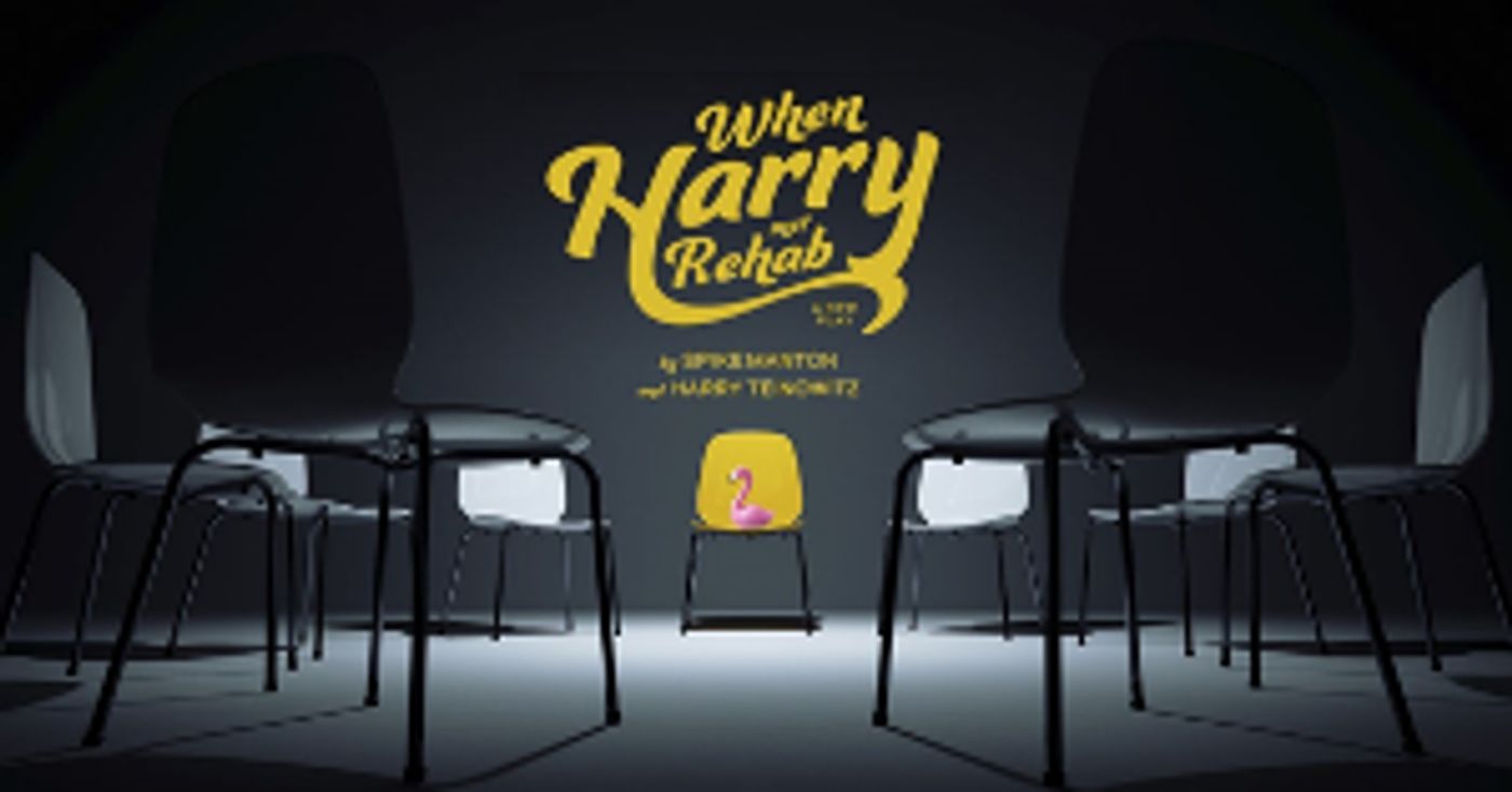 WHEN HARRY MET REHAB to Have Final Performance January 9  Image