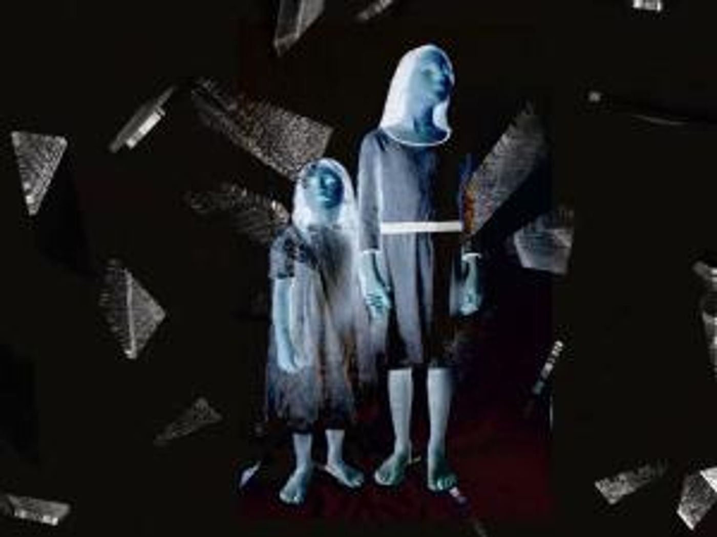 Voices Of Ascension Postpones January 27 Concert  Image