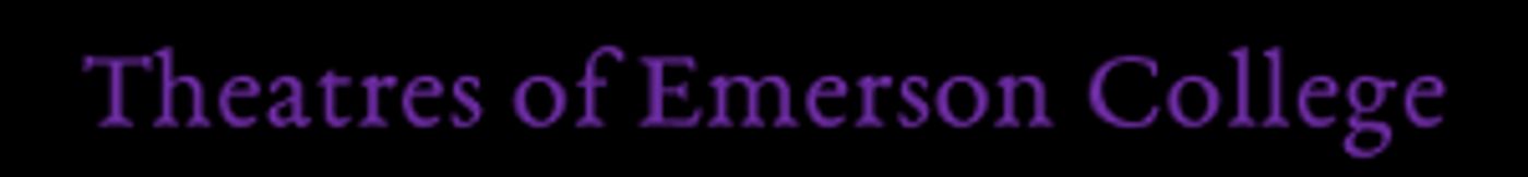 New COVID-19 Guidelines Announced For Theatres Of Emerson College  Image