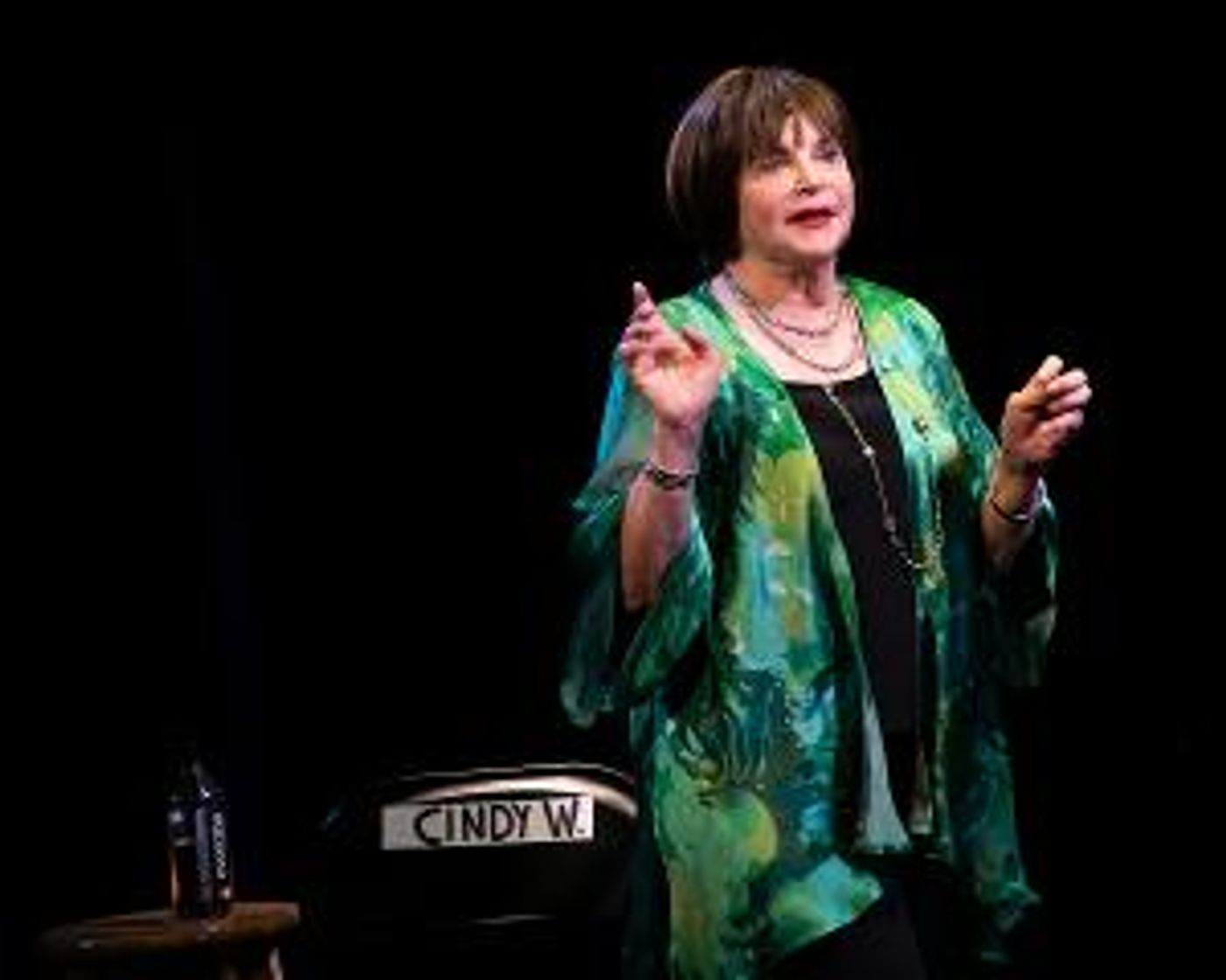 TV Star Cindy Williams Brings ME, MYSELF & SHIRLEY to Zilkha Hall  Image