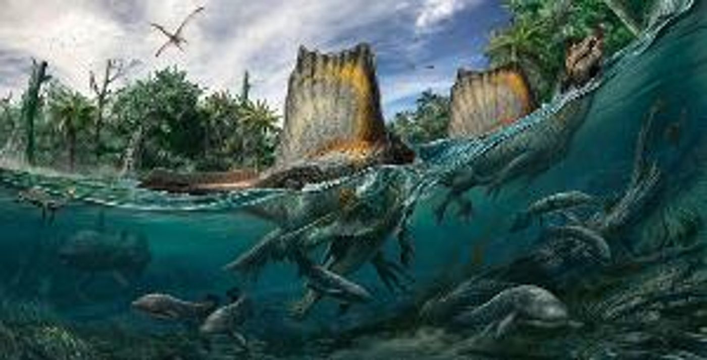 The Auditorium Theatre Presents NATIONAL GEOGRAPHIC LIVE — SPINOSAURUS  Image