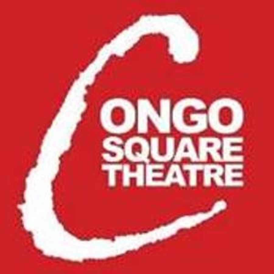 Congo Square Theatre Reschedules FESTIVAL ON THE SQUARE and Vision Benefit Image