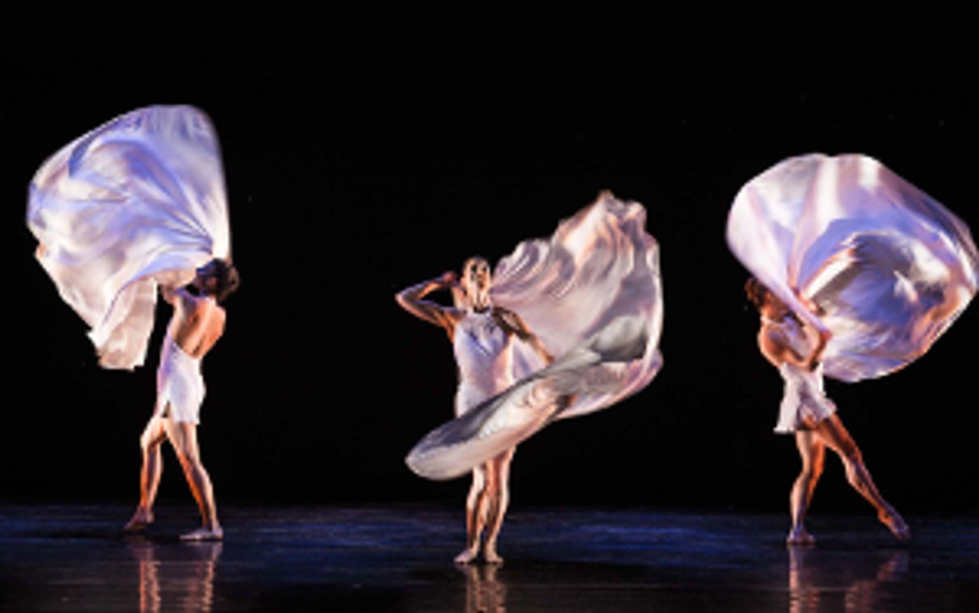 Viva MOMIX Celebrates 40 Years of Dance at Popejoy Hall  Image