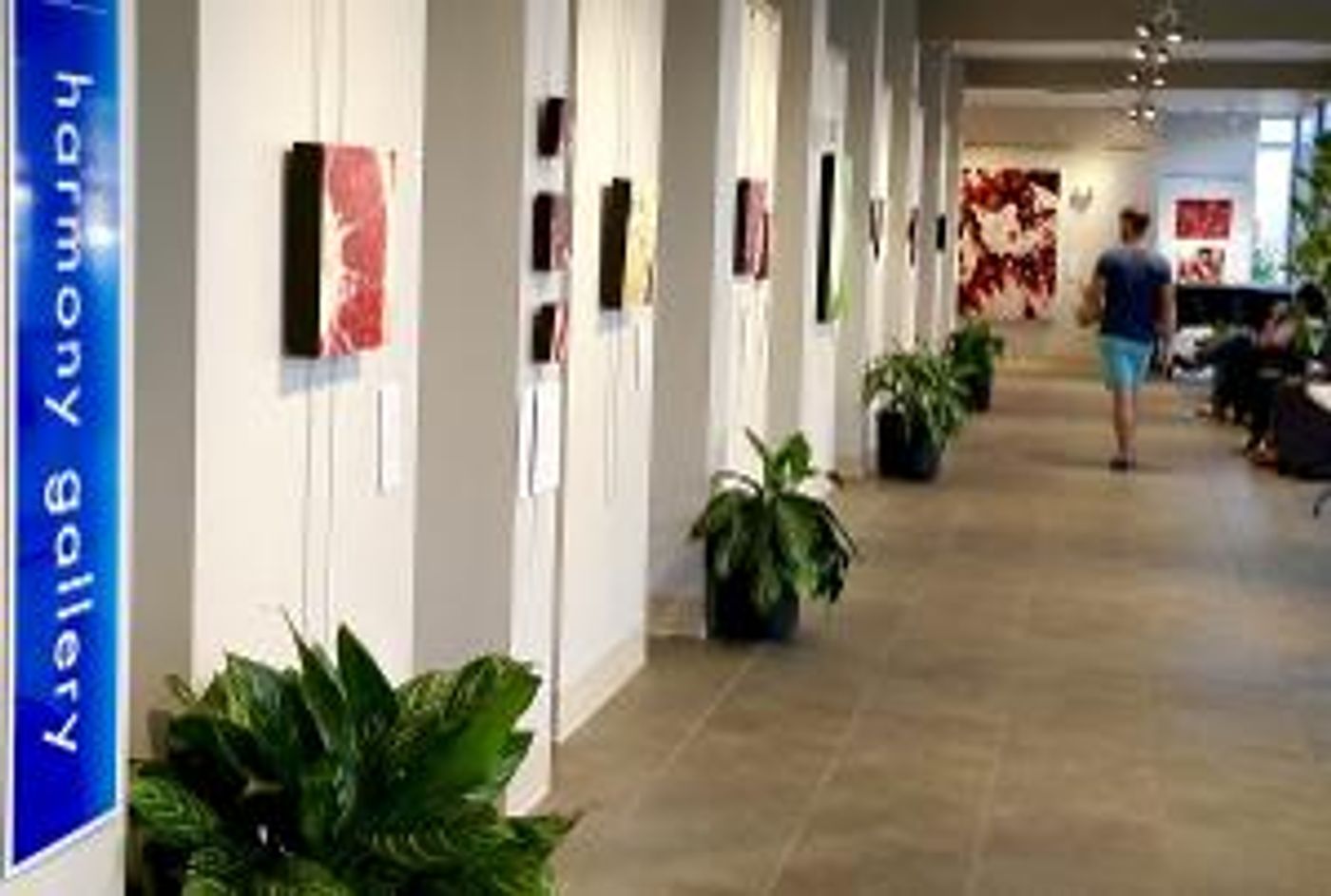 Art Exhibition Opportunities At Sarasota Orchestra's Harmony Gallery  Image