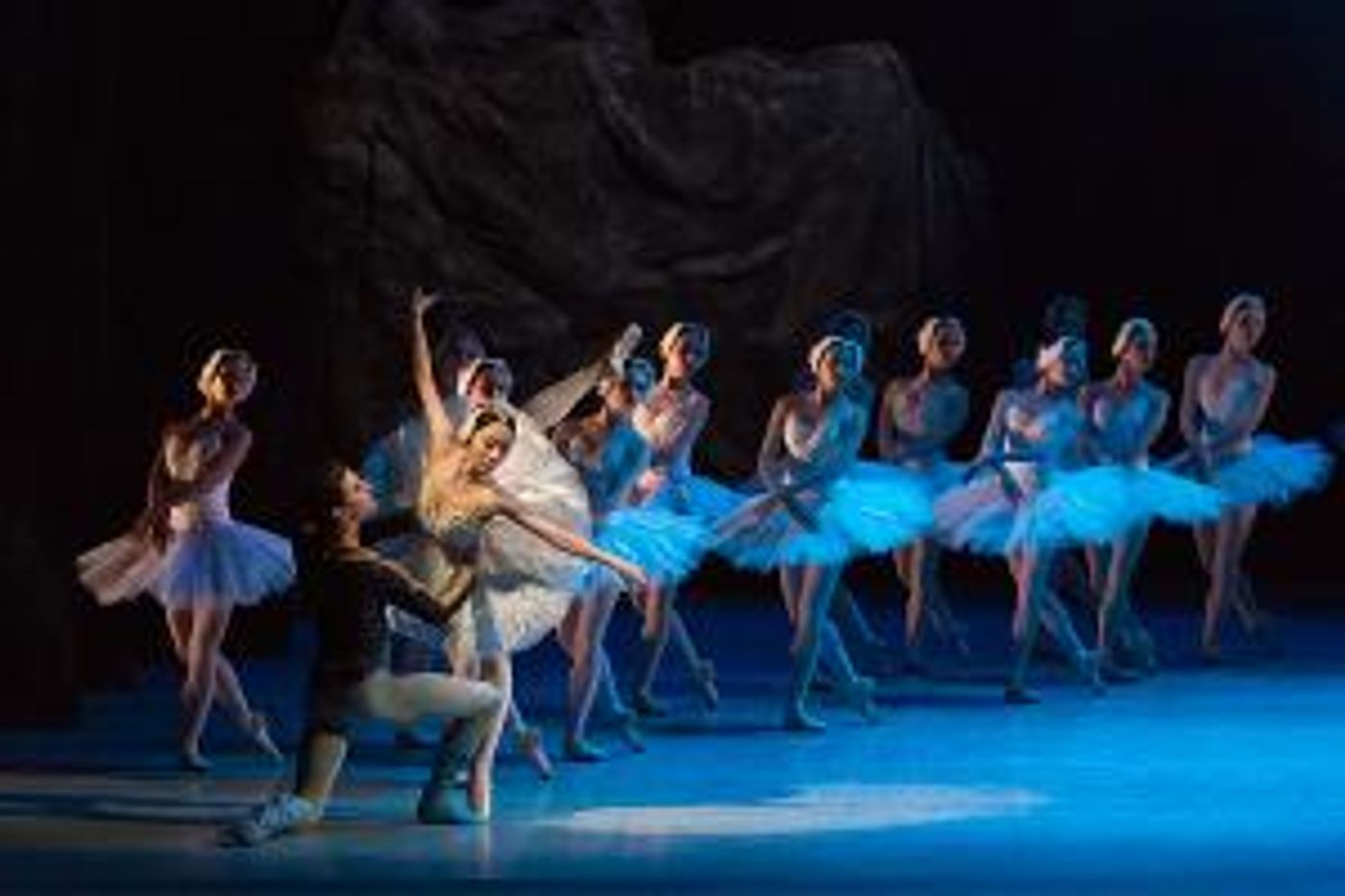 Celebrarán El 145 Aniversario Del Estreno De El Lago De Los Cisnes Con Transmisión Simultánea  Image