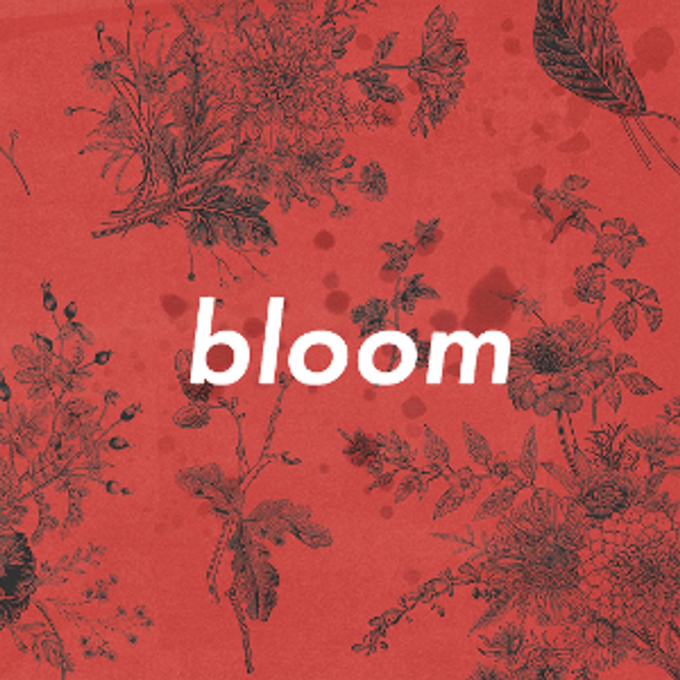 BLOOM Receives US Premiere At IATI Theater  Image