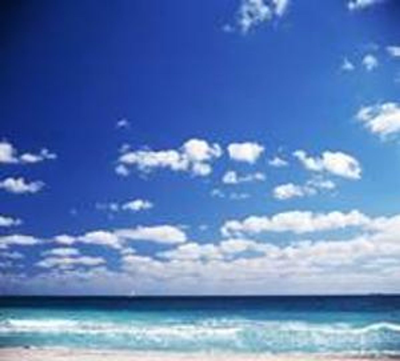 The Chamber Music Society Of Williamsburg Presents Formosa Quartet  Image