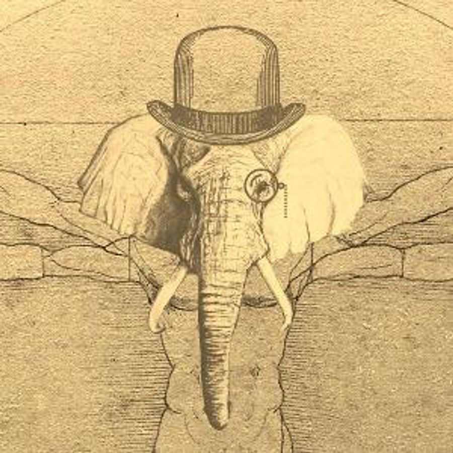THE MARVELLOUS ELEPHANT MAN Premieres At The Melbourne International Comedy Festival in April Image