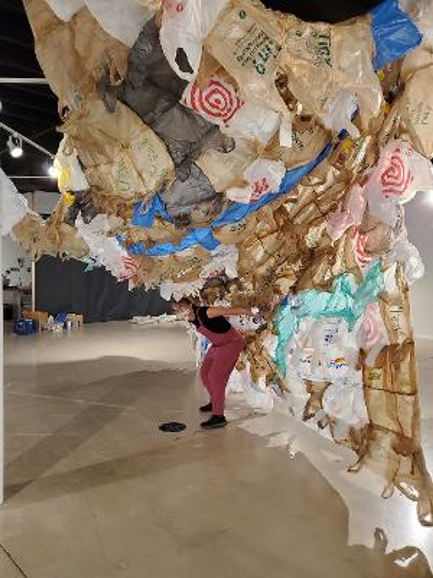 ArtServe Opens 'Pa-Hay-Okee—Land Of Grassy Water' Next Month  Image