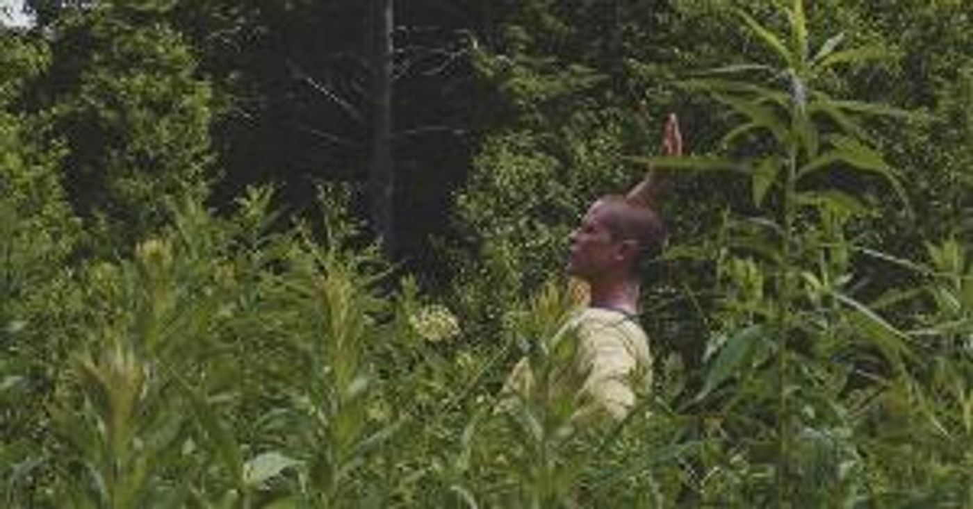 Jennifer Nugent To Debut New Work At Gibney Center, April 28-30  Image