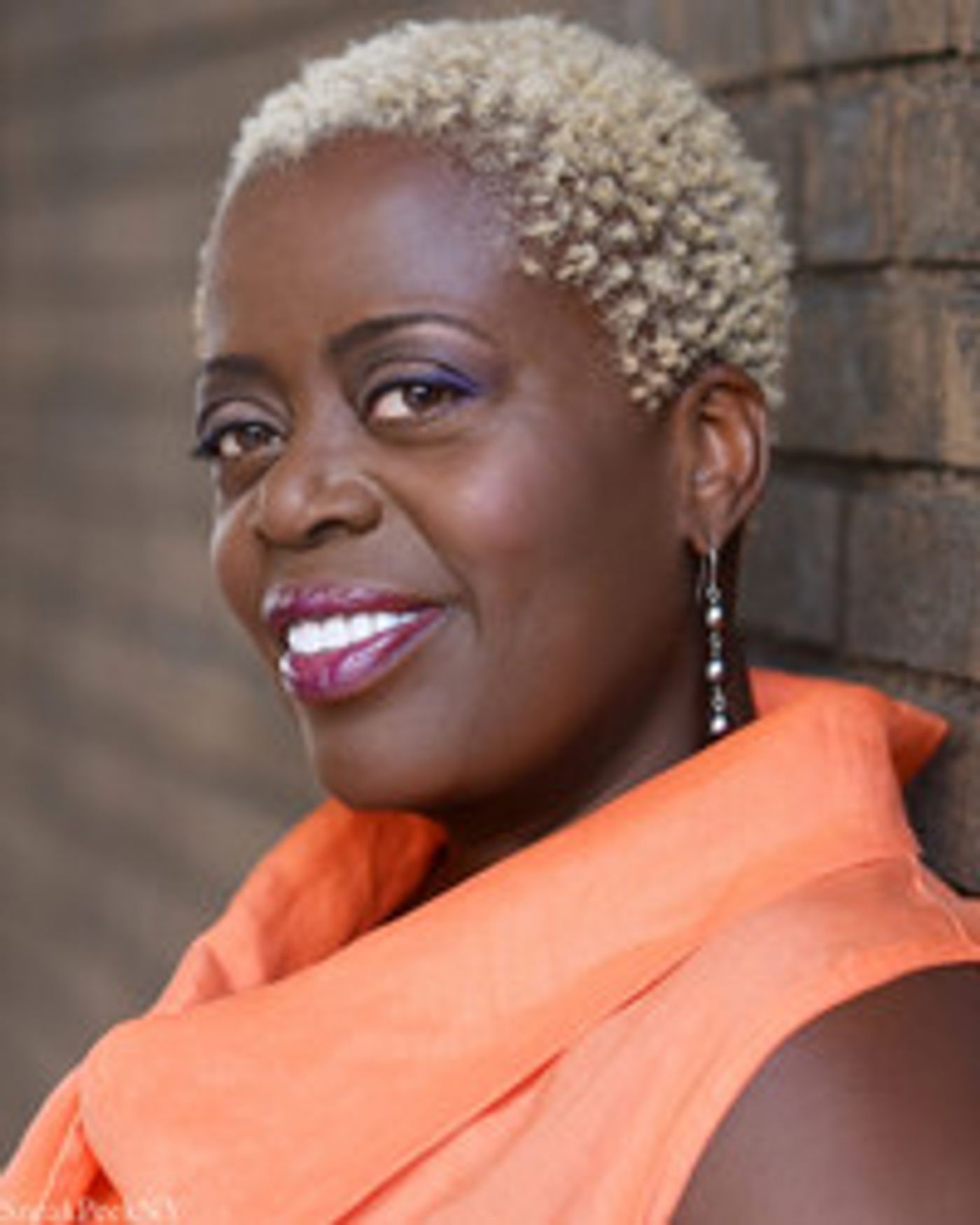 Virtual Theatre This Weekend: November 14-15- with Lillias White, Laura Benanti and More!  Image