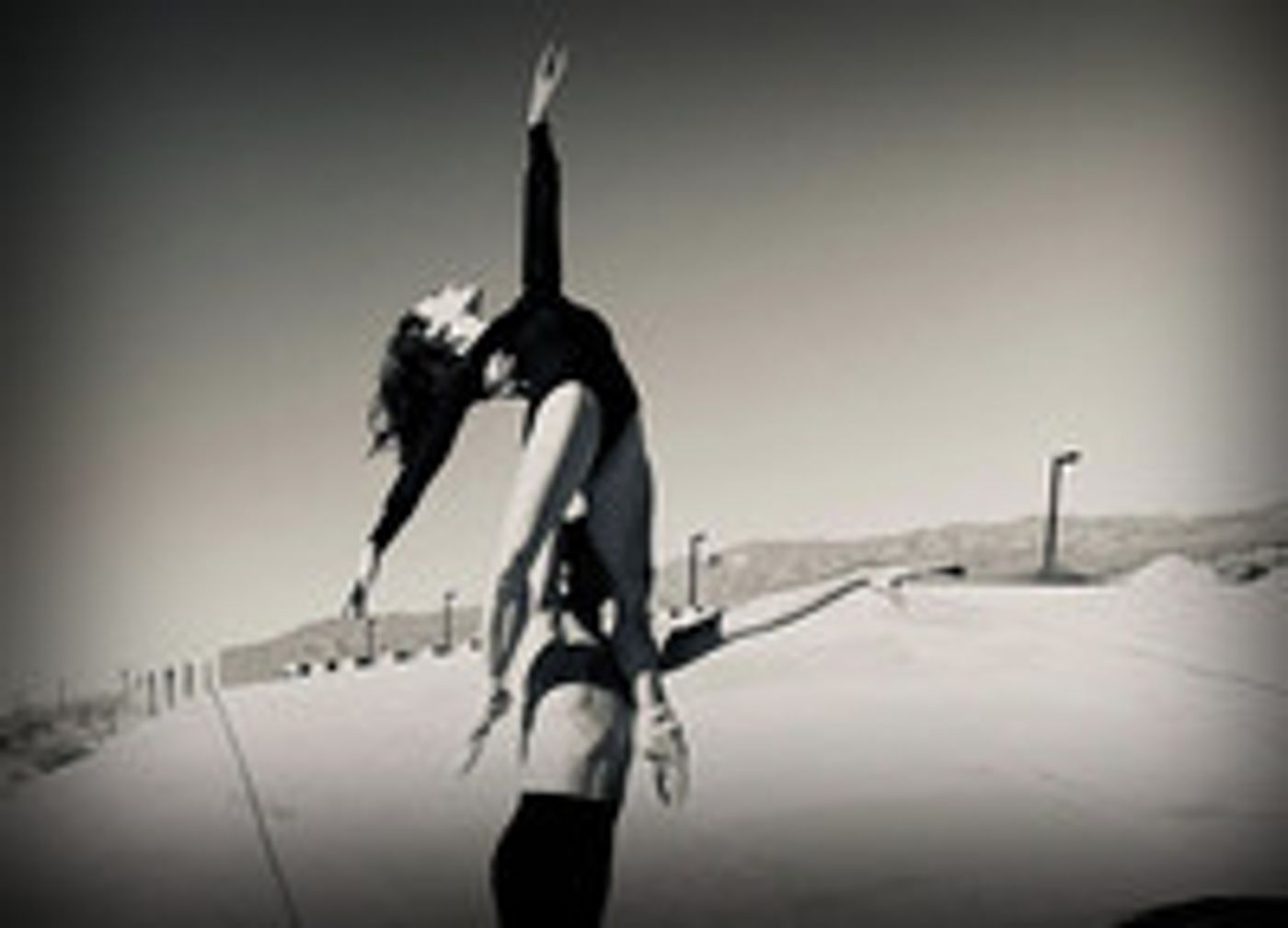 Virtual Theatre This Weekend: October 17-18- Divas for Democracy, American Utopia and More!  Image