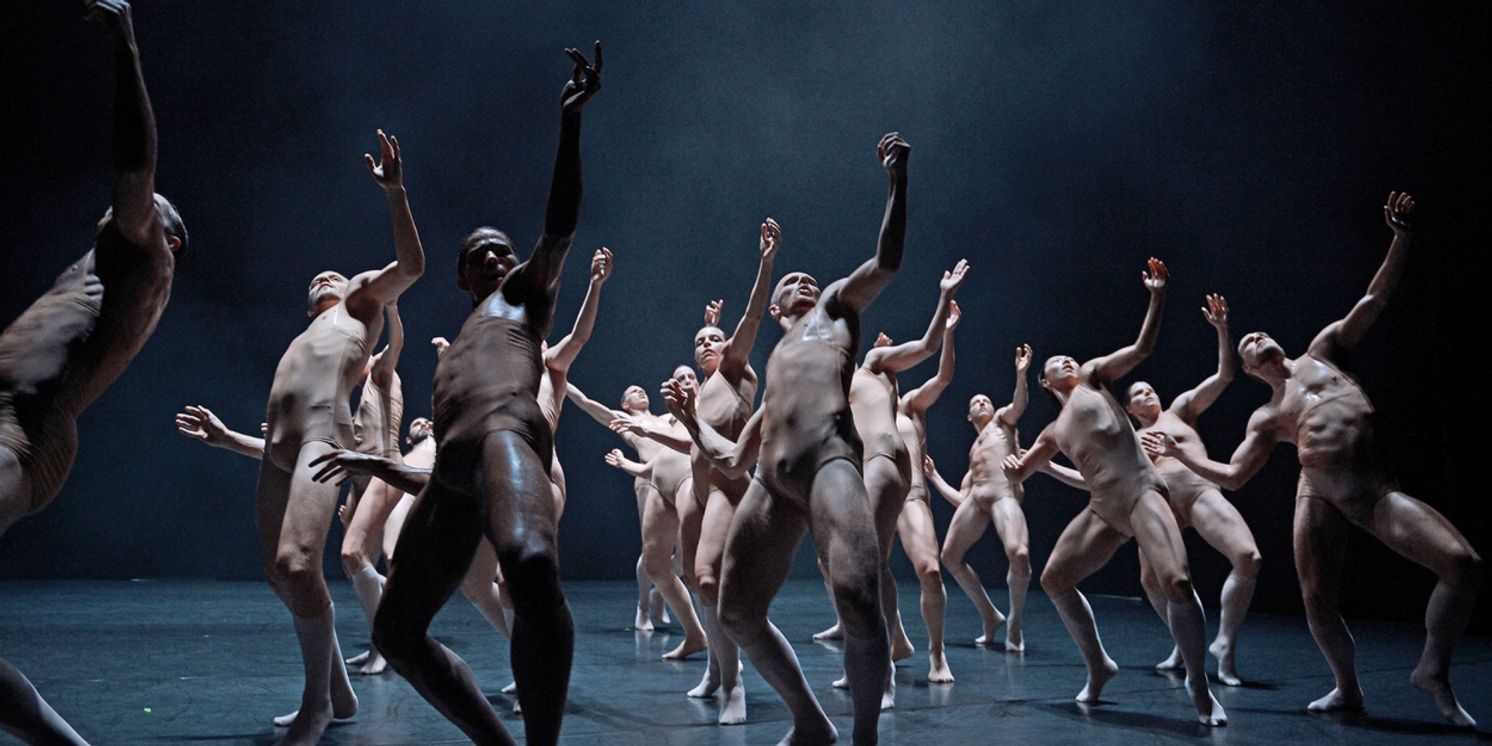 tanzmainz Comes to Danse Danse This Month  Image