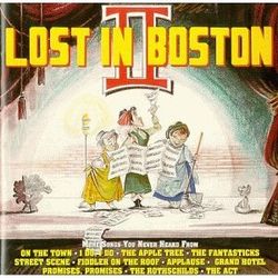 Lost in Boston 2
