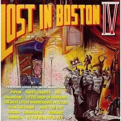 Lost in Boston 4