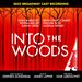 Into the Woods Album Cover Art