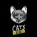 Cats: The Jellicle Ball