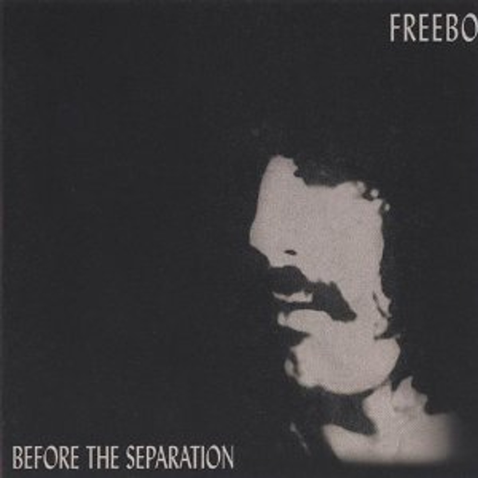 Before The Separation Album Cover Art - Freebo