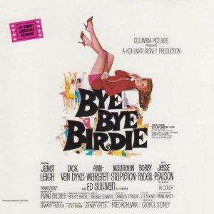 Bye Bye Birdie Album Cover Art