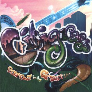 Serpent in the Grass Album Cover Art - Citigrass 
