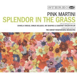Splendor in the Grass Album Cover Art