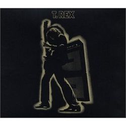 Electric Warrior