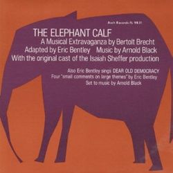 Elephant Calf & Small Comments on Large Themes