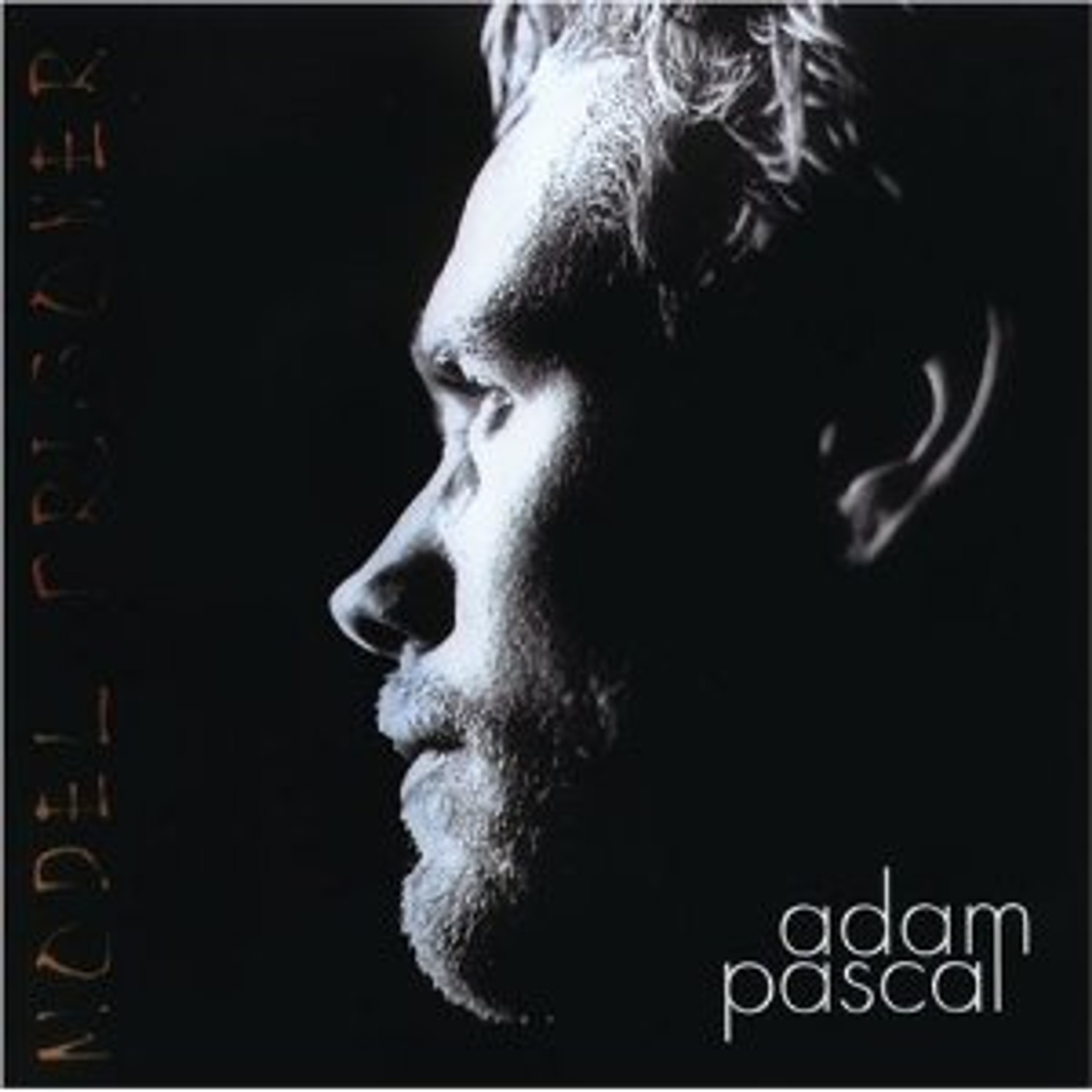 Model Prisoner Album Cover Art - Adam Pascal