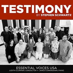 Testimony (Stephen Schwartz)