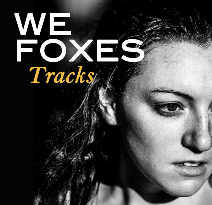 We Foxes: Tracks Album Cover Art