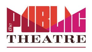 Donate to The Public Theatre - Maine in Maine