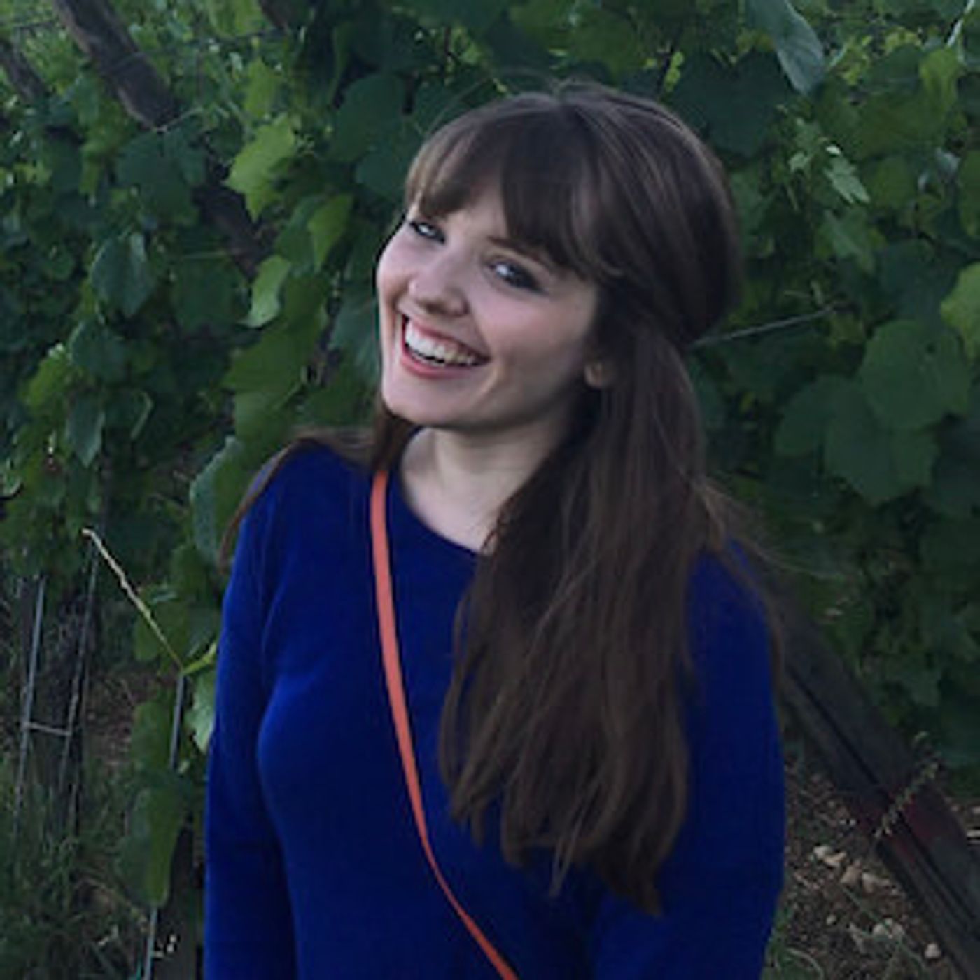 Global Roundup 3/14: Britney Musical Comes To Chicago, Alice Ripley in INTO THE WOODS, DIANA Reviews, and More!  Image