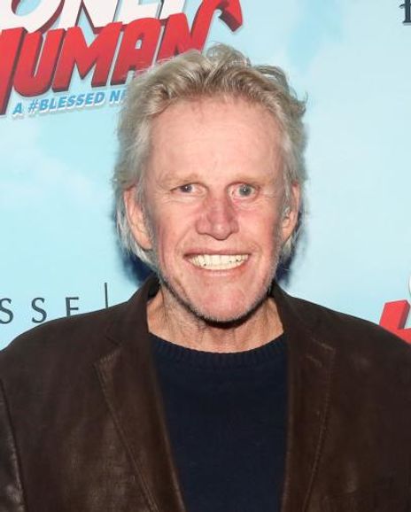 Gary Busey Headshot