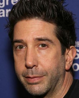 David Schwimmer Headshot