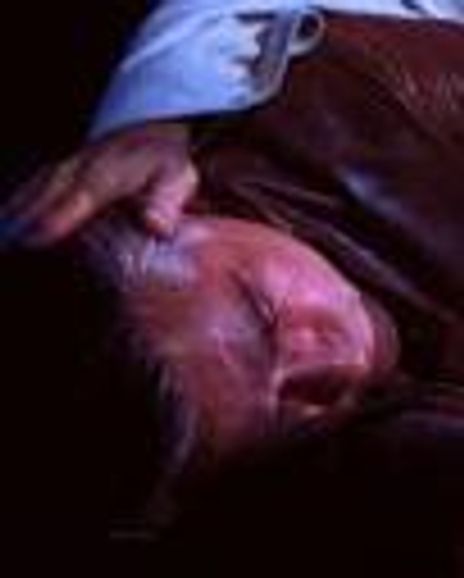 Richard Molinare Headshot