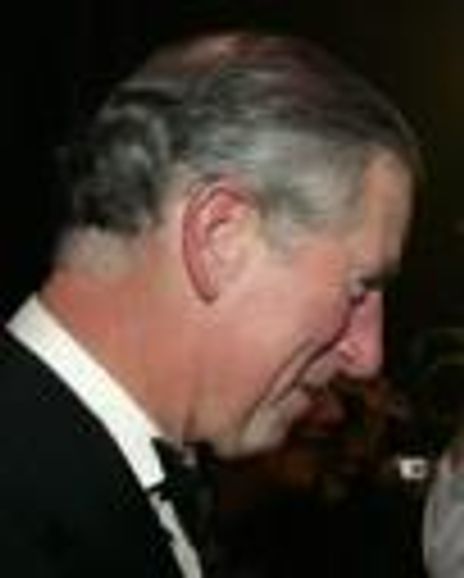 Prince Charles Headshot