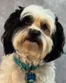 Charlie 