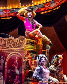 Anakin Jace White Headshot